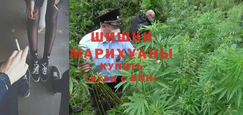 Шишки марихуана SATIVA & INDICA  omg рабочий сайт  Бодайбо 